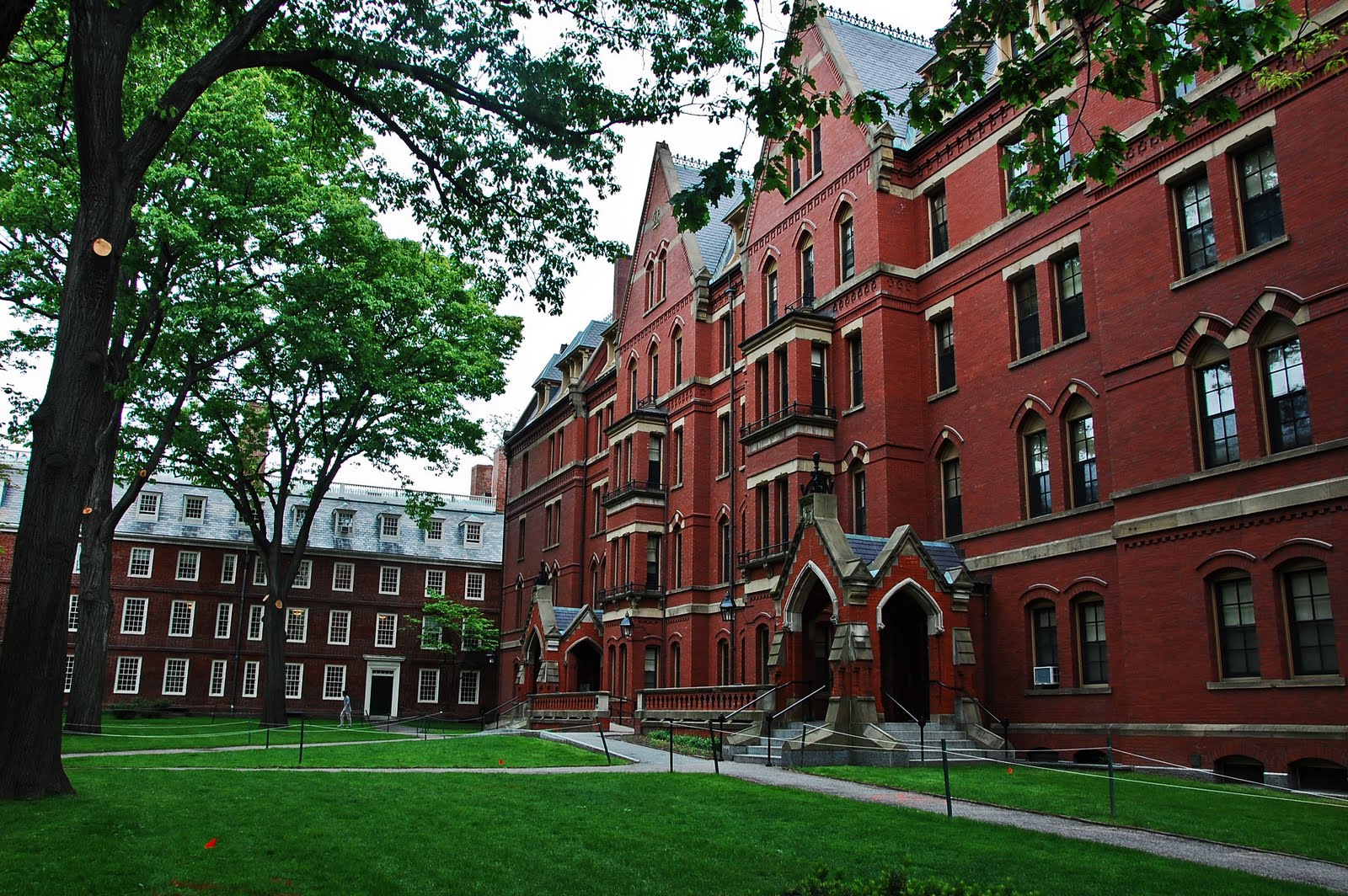 Which Are the Best Universities in Canada?